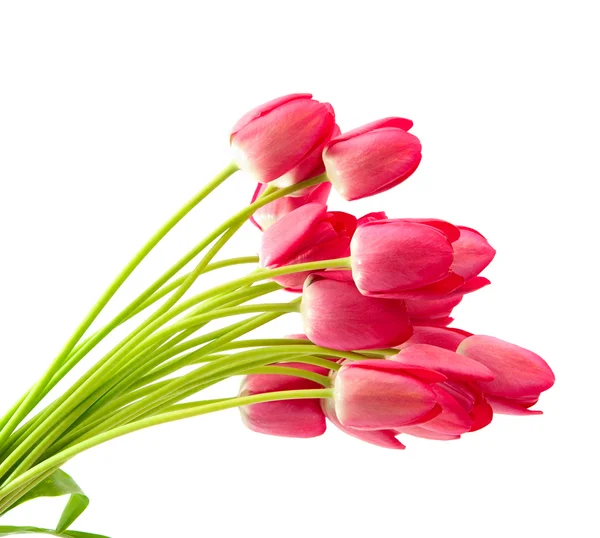 Bukiet różowych tulipanów — Zdjęcie stockowe