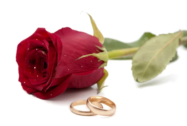 Rosa vermelha com anéis de casamento — Fotografia de Stock