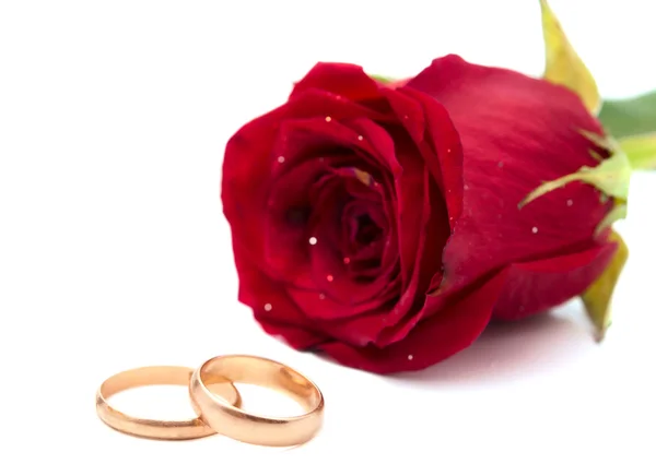 Rosa roja con anillos de boda — Foto de Stock