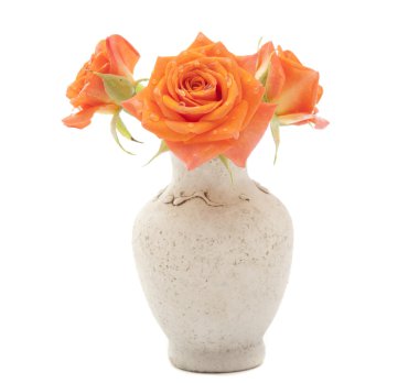 Orange roses in a vase clipart