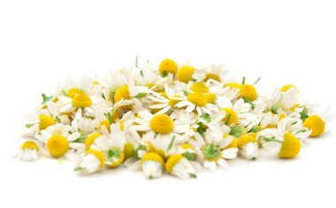 Chamomile flowers clipart