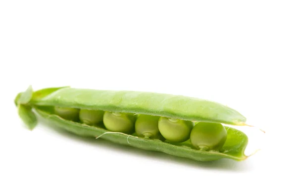 緑のエンドウ豆 ストック画像