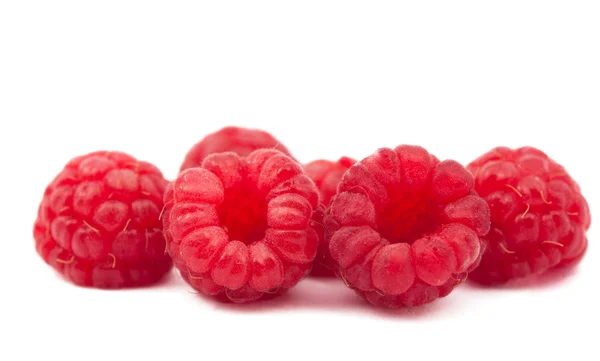빨강 나무 딸기 — 스톡 사진