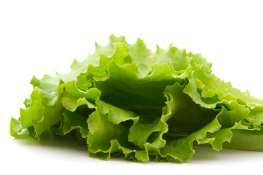 Lettuce leaves clipart