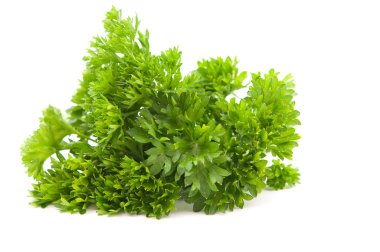 Curly parsley clipart