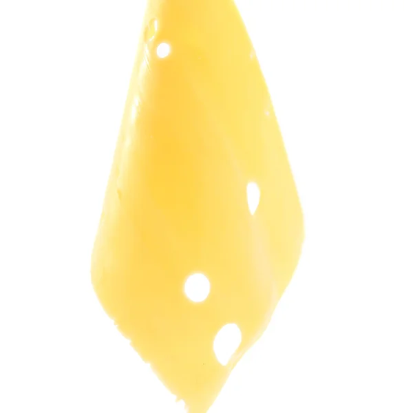 Eine Scheibe Käse — Stockfoto