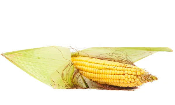 Свіжої кукурудзи — стокове фото