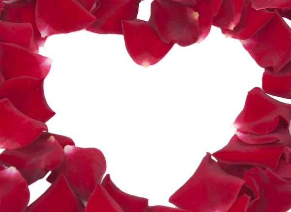 Сердце из лепестков красной розы — стоковое фото