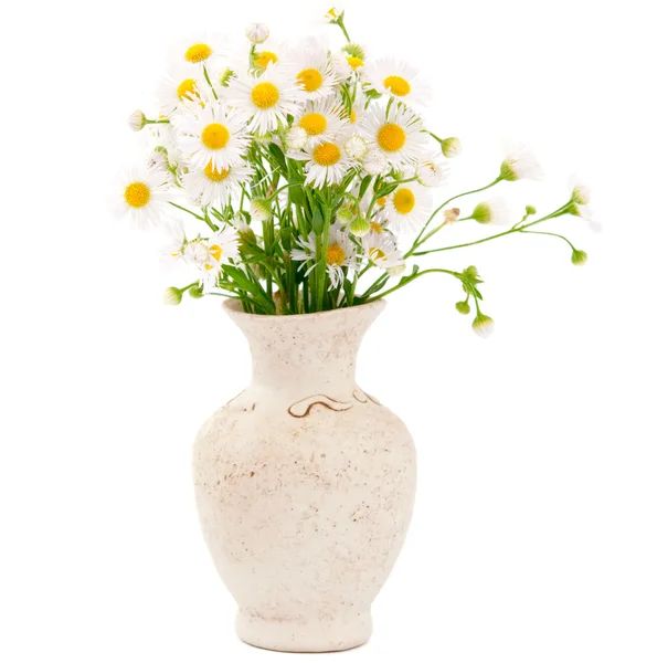Bouquet di margherite campo — Foto Stock