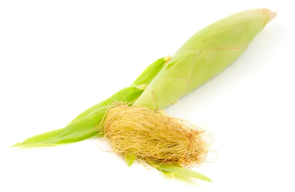 stock image Ear of corn