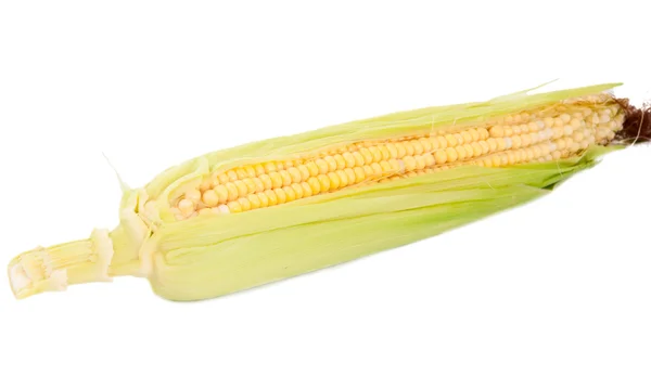 Ear of corn — Stock Photo, Image