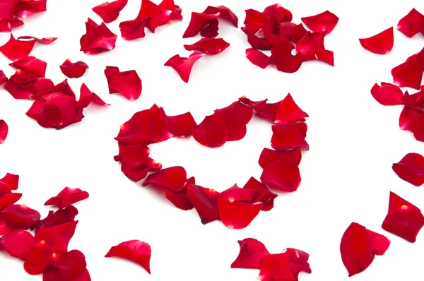 Серце з пелюсток троянд — стокове фото