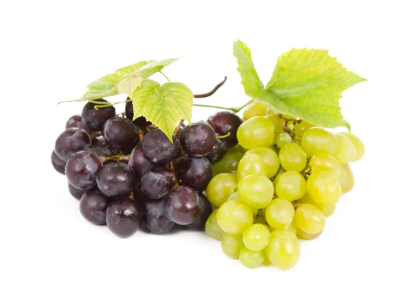 Bunch of grapes Stock Image