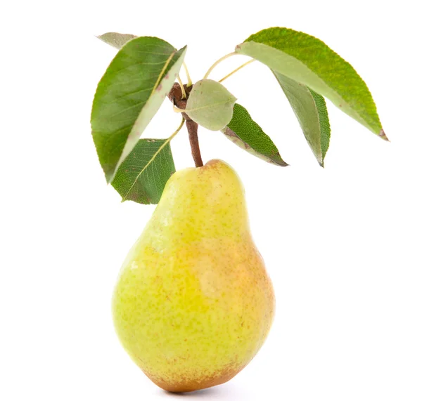 Pear with leaves — Stock Photo, Image