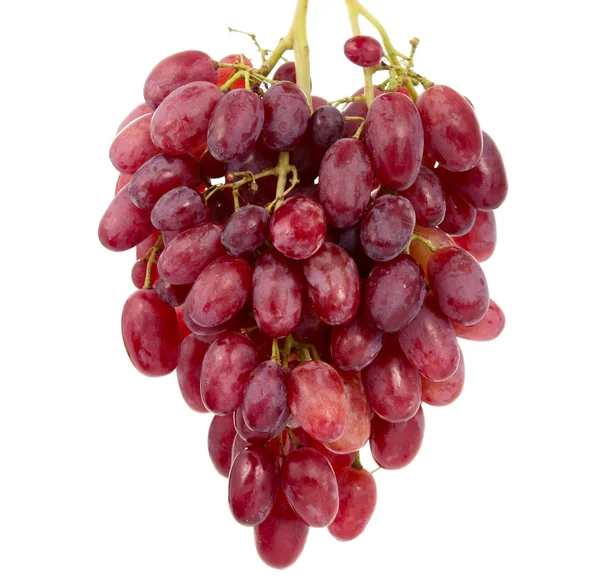 Lyserøde druer - Stock-foto