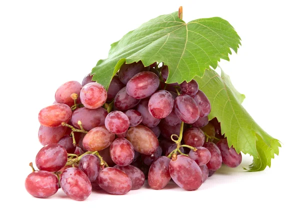 Pink grapes — Stock Photo, Image