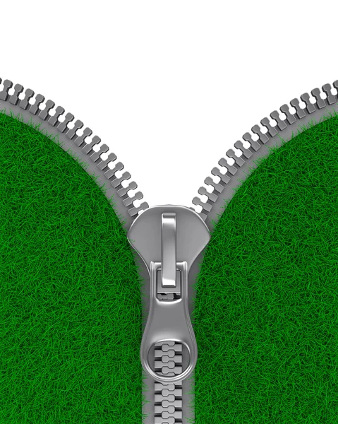 Reißverschluss mit Gras auf weißem Hintergrund. isoliertes 3D-Bild — Stockfoto