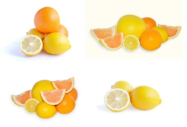 Coleta de citrinos — Fotografia de Stock
