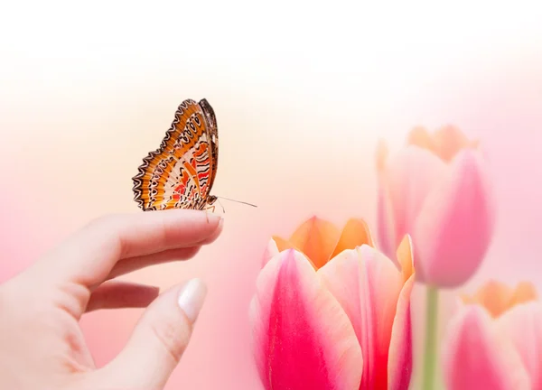 Vlinder aan vrouw hand en tulpen — Stockfoto
