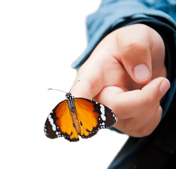 Butterfly on child's hand, isolated — Stock Photo, Image