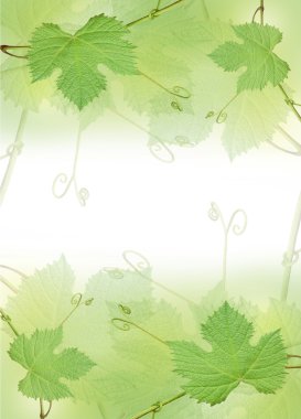The green grape leaf border clipart
