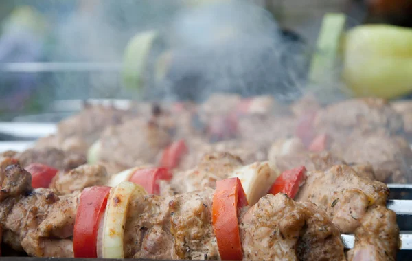 Kebab de viande et légumes — Photo