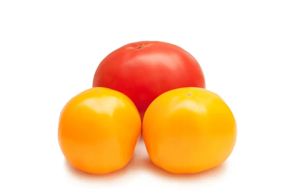 Tomates des arbres — Photo