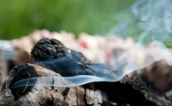 연기와 케밥 — 스톡 사진