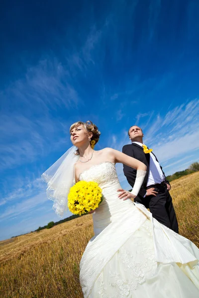 Vackra par på det gula fältet — Stockfoto