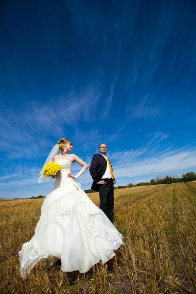 Schönes Paar auf dem gelben Feld — Stockfoto