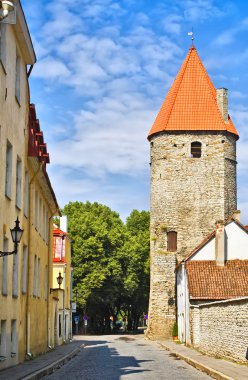 Fortress in Tallinn Old Town clipart