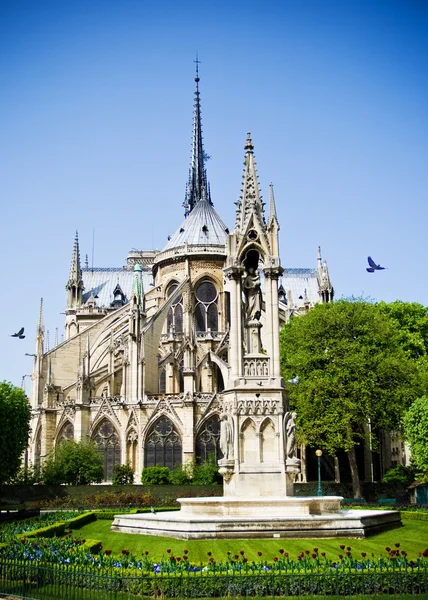 Notre Dame de Paris, France — Stock Photo, Image