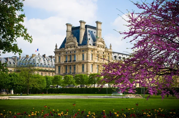 Louvren trädgård — Stockfoto