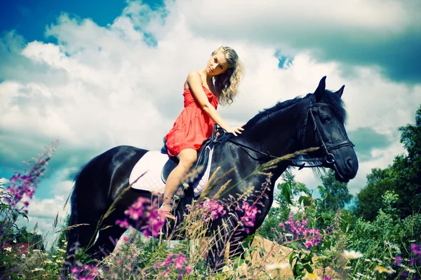 Красота на лошади — стоковое фото