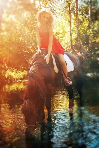 Beauty and horse — Stock Photo, Image