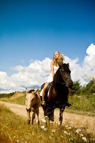 Краса на коні — стокове фото