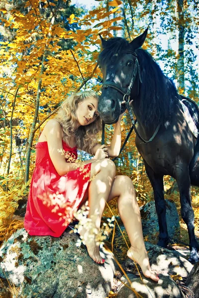Beauty and horse — Stock Photo, Image