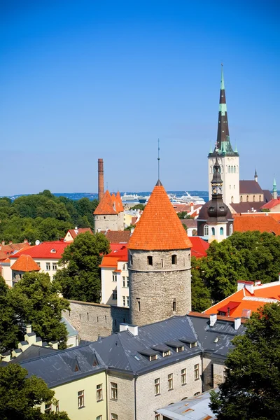 Stare miasto w Tallinie — Zdjęcie stockowe