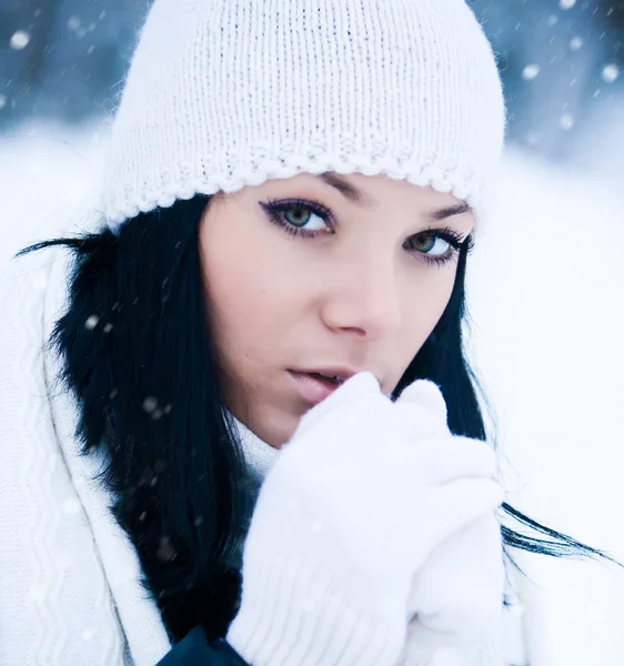 Зимняя девушка Стоковое Изображение