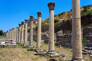 Efes, Türkiye'den sütunlarda