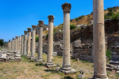 Columns in Ephesus, Turkey clipart