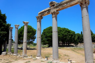 Efes, Türkiye'den sütunlarda