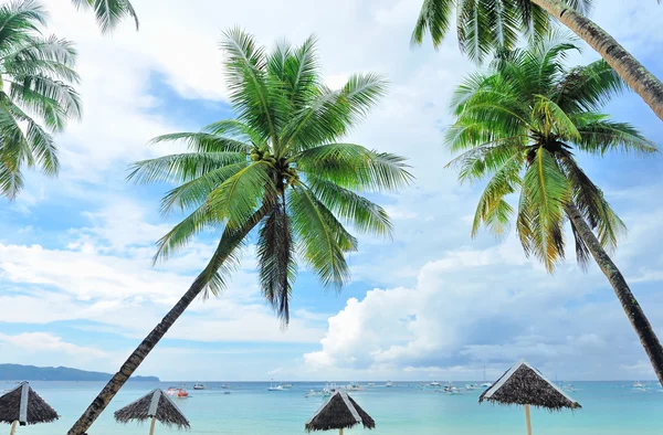 stock image Beautiful beach with palm trees