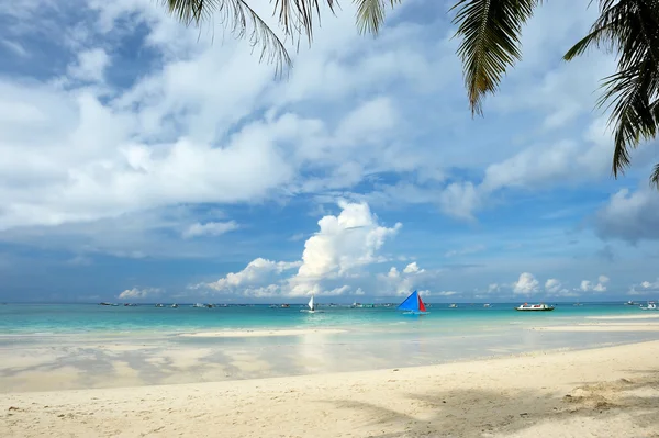 Beautiful beach with palm trees — Stock Photo, Image