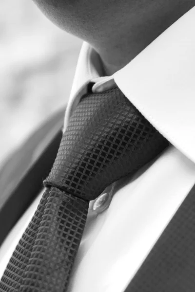 Bräutigam Krawatte — Stockfoto