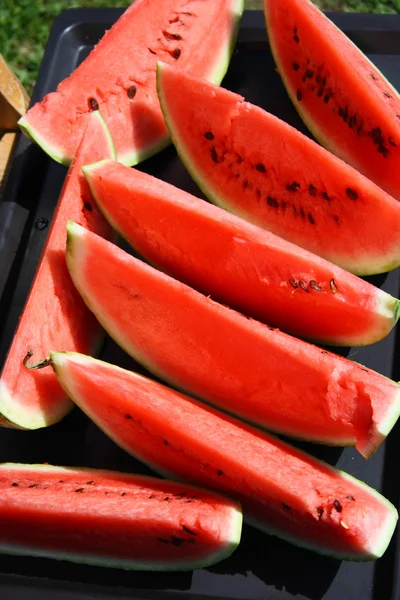 stock image Watermelon