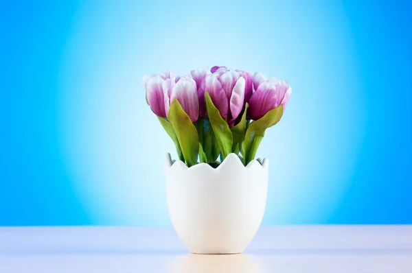 Fleurs de tulipes colorées dans le pot blanc — Photo
