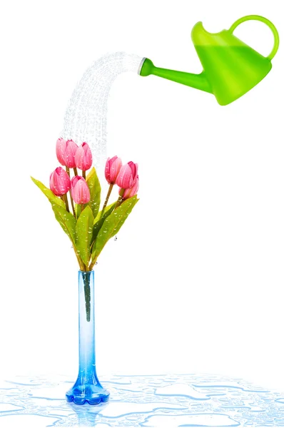 Hrnec s tulipány izolovaných na bílém — Stock fotografie