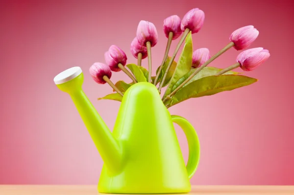 stock image Gardening concept - Tulips and watering can