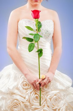 Gül stüdyo çekim içinde güzel bir gelin